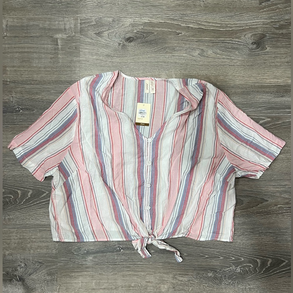 NWT Blue and Pink Striped Boxy Shirt